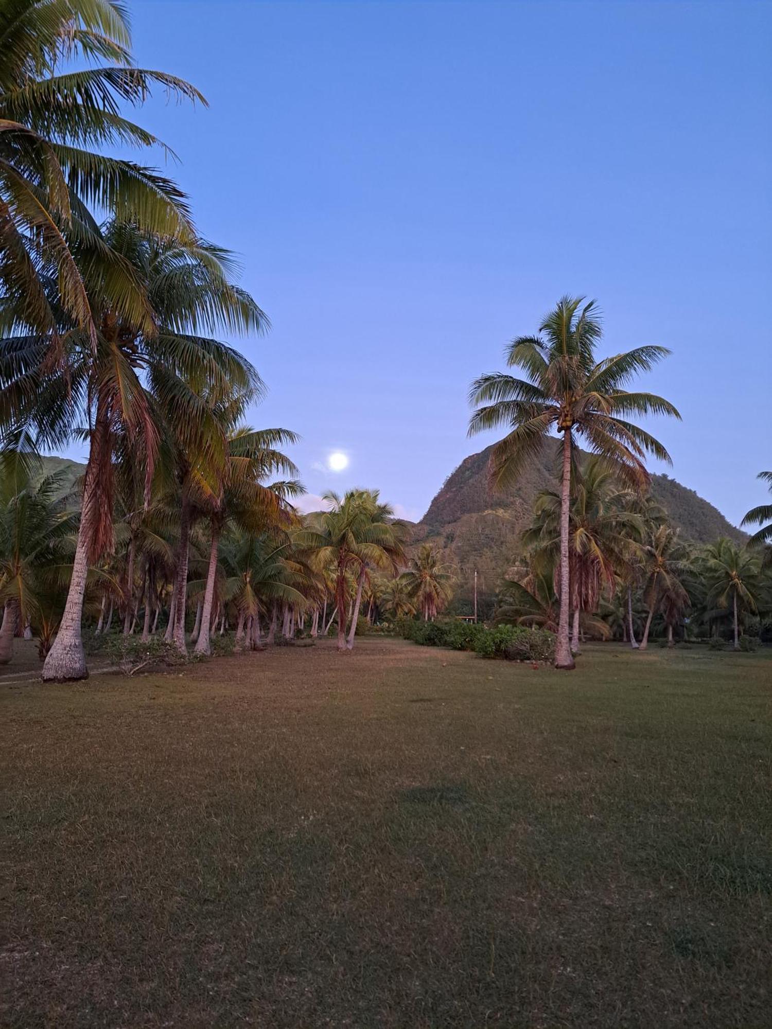 Tifaifai Et Cafe Huahine Bed & Breakfast Fare ภายนอก รูปภาพ
